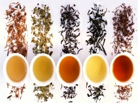 Виды чая и какое влияние они оказывают на наш организм
